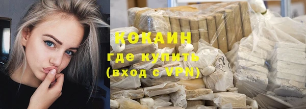 винт Абаза