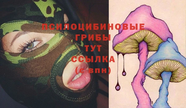 твердый Нефтегорск