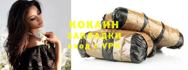 винт Абаза