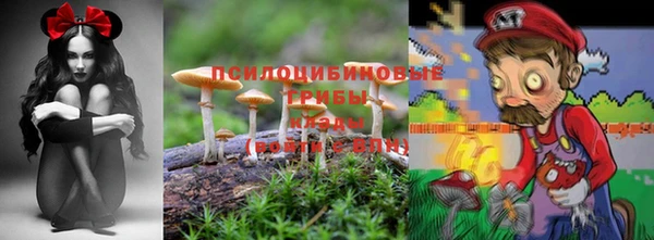 винт Абаза