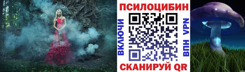 Галлюциногенные грибы Magic Shrooms  магазин продажи   Шенкурск 